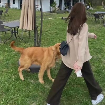 爱情生活的痕迹